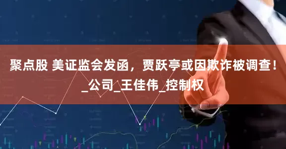 聚点股 美证监会发函，贾跃亭或因欺诈被调查！_公司_王佳伟_控制权