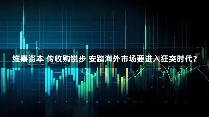维嘉资本 传收购锐步 安踏海外市场要进入狂突时代？