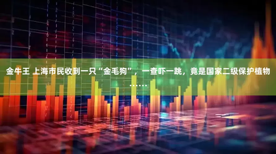 金牛王 上海市民收到一只“金毛狗”，一查吓一跳，竟是国家二级保护植物……