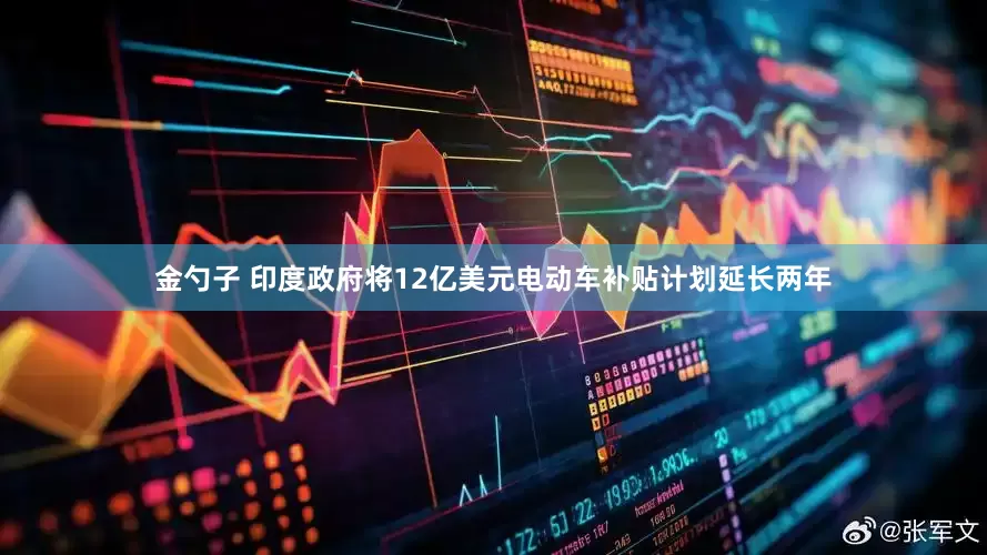 金勺子 印度政府将12亿美元电动车补贴计划延长两年
