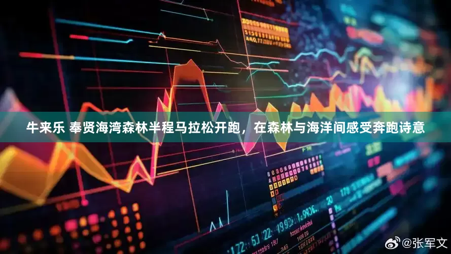 牛来乐 奉贤海湾森林半程马拉松开跑，在森林与海洋间感受奔跑诗意