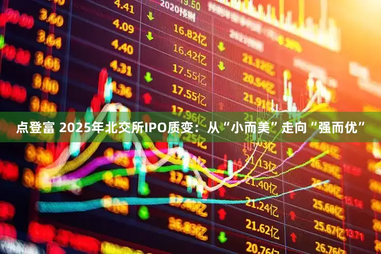点登富 2025年北交所IPO质变：从“小而美”走向“强而优”