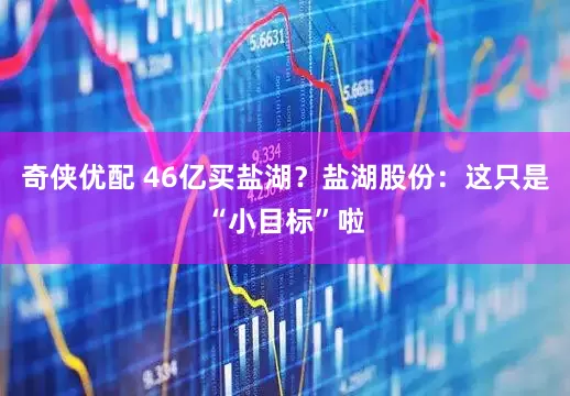 奇侠优配 46亿买盐湖？盐湖股份：这只是“小目标”啦